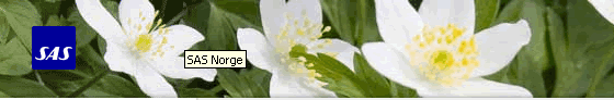 SAS.gif
